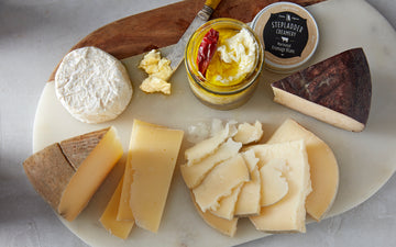 say cheese! stepladder creamery bundle